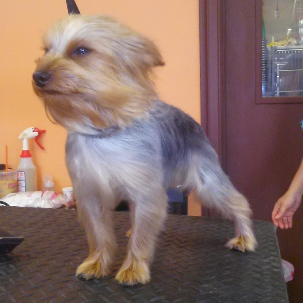 Meet your Posher, Toni-ann